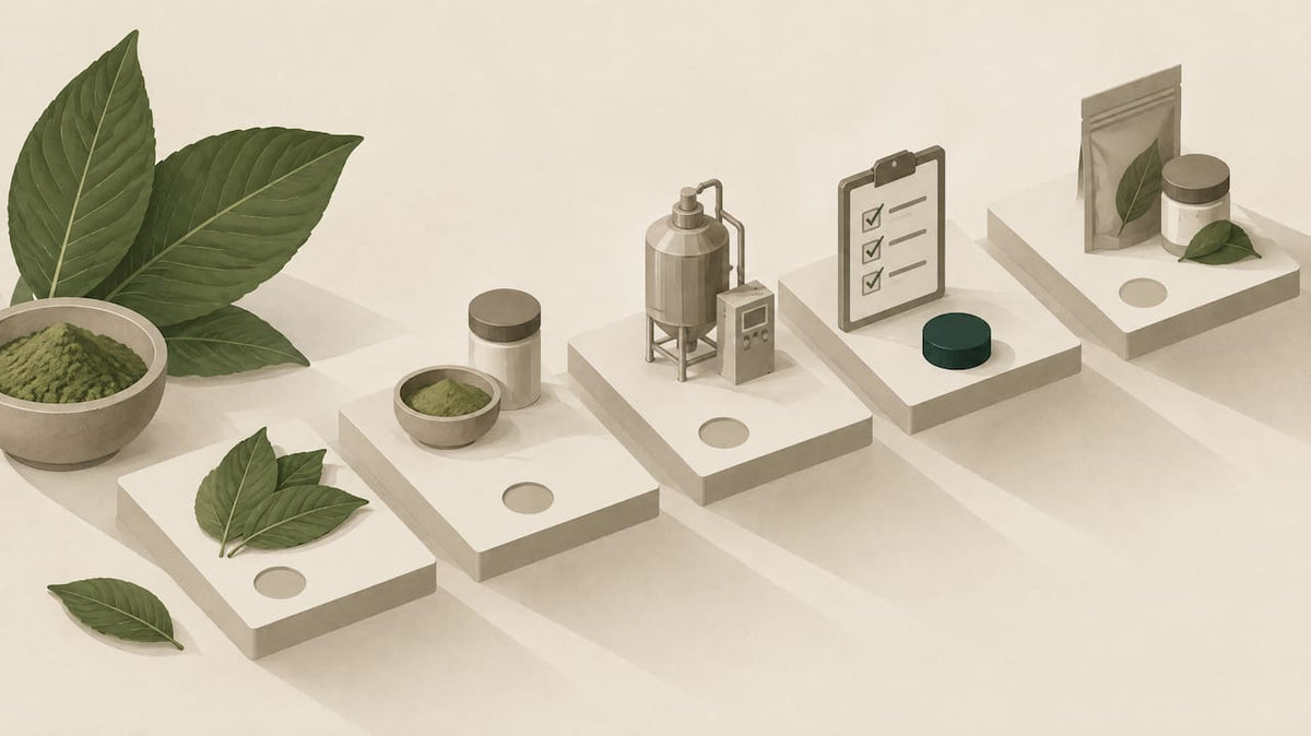 Geometric illustration of GMP audit checkpoints