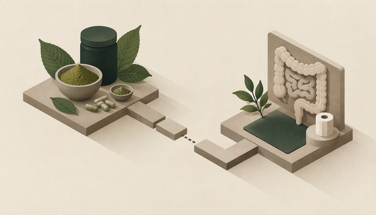 Abstract illustration of kratom and digestion