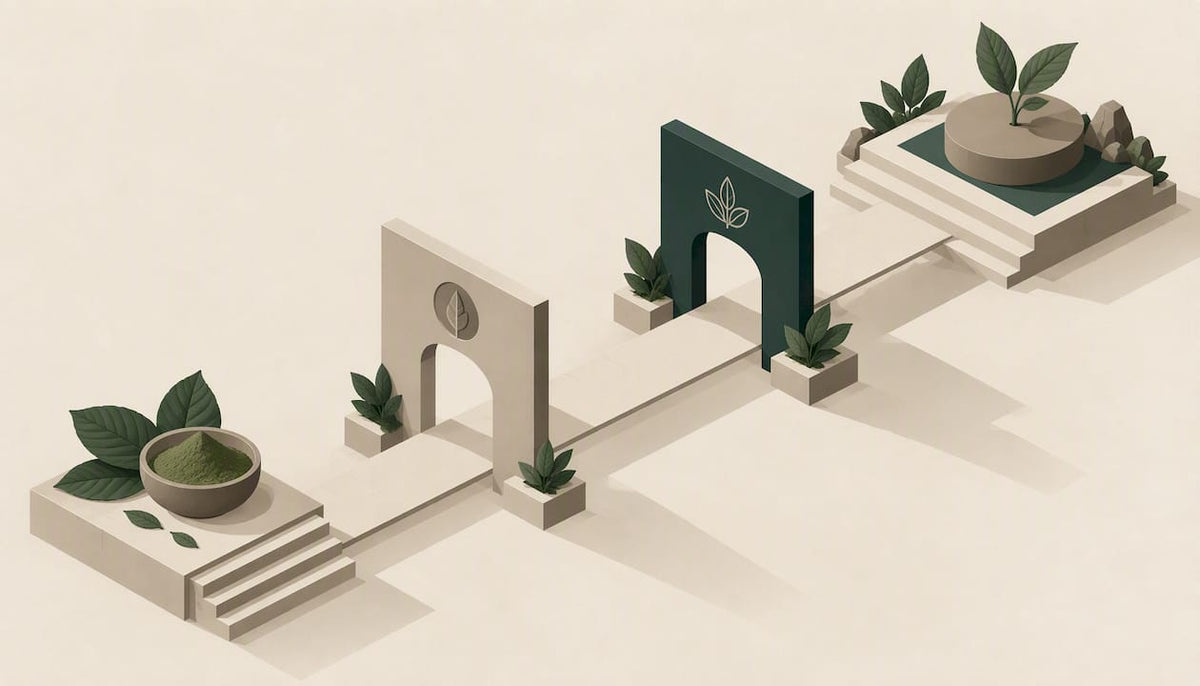 Geometric pathway representing careful safety decisions