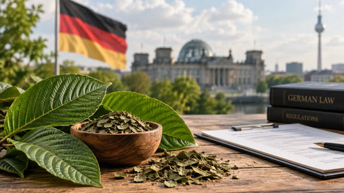 Kratom in Germany: Is It Legal? Effects & Buying Guide