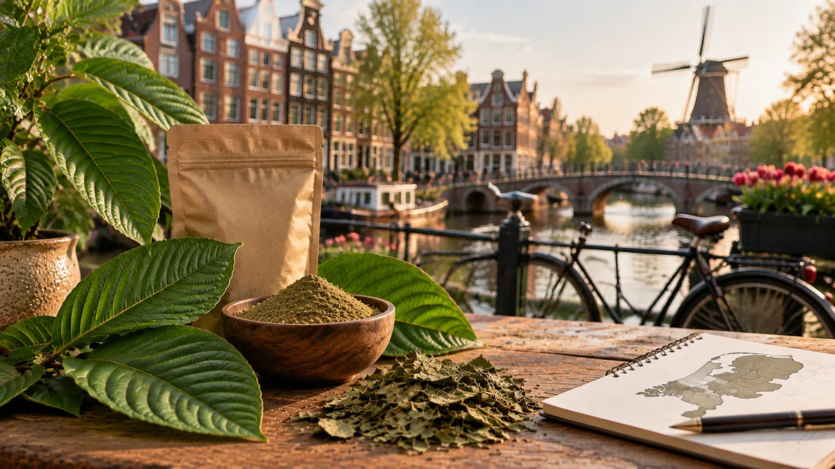 Kratom in the Netherlands: Is It Legal? Buying Guide