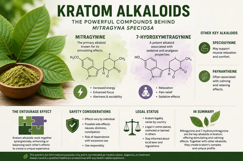 Kratom Alkaloids Explained: Mitragynine & 7-Hydroxymitragynine Effects